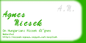 agnes micsek business card